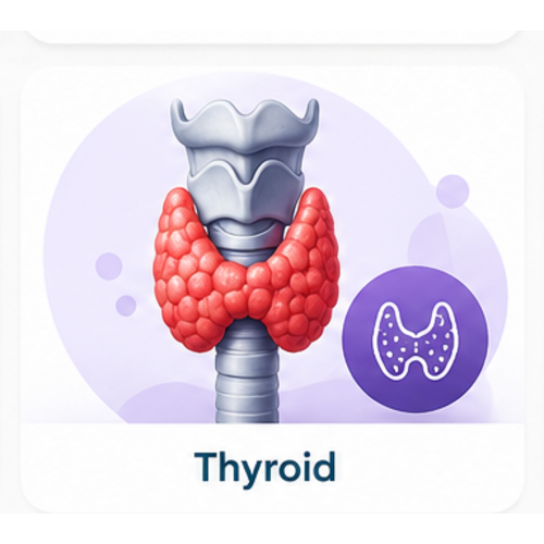 Thyroid